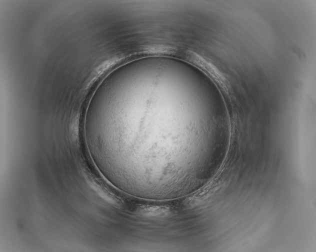 X0000112530155200908171428