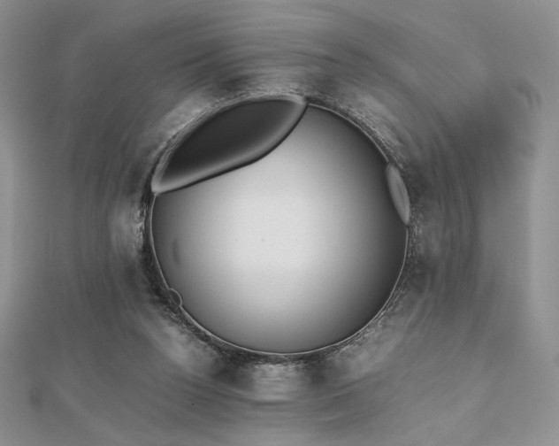 X0000112530160200908171428