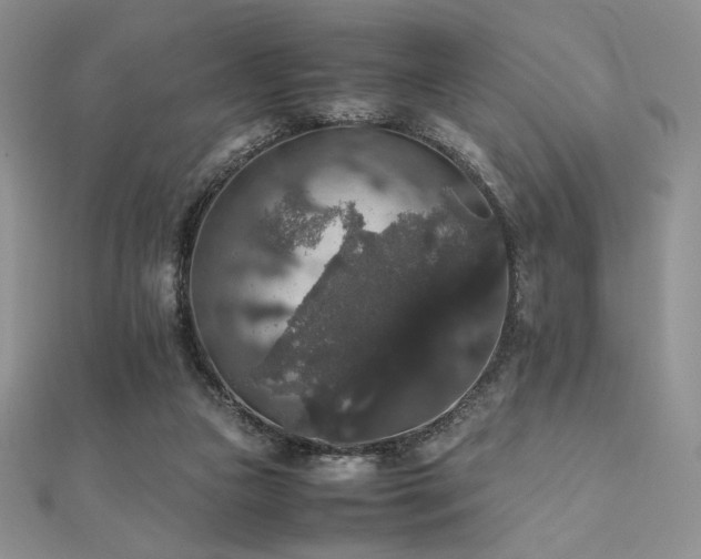 X0000112530161200908171429