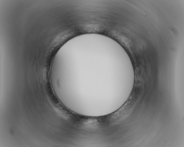 X0000112530162200908171429