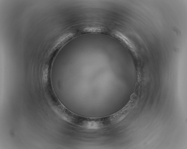 X0000112530163200908171429