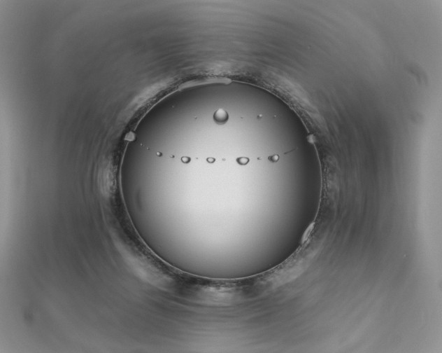 X0000112530164200908171429