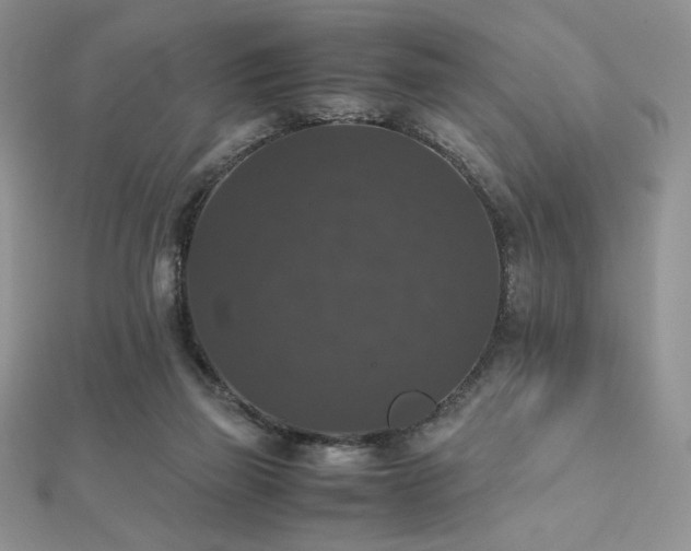 X0000112530165200908171429
