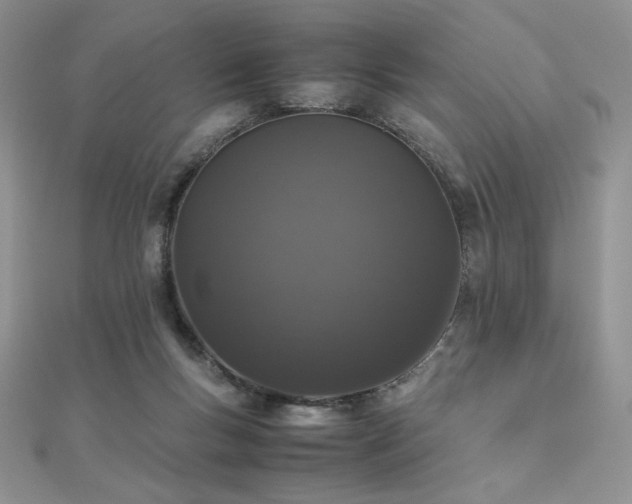 X0000112530167200908171429