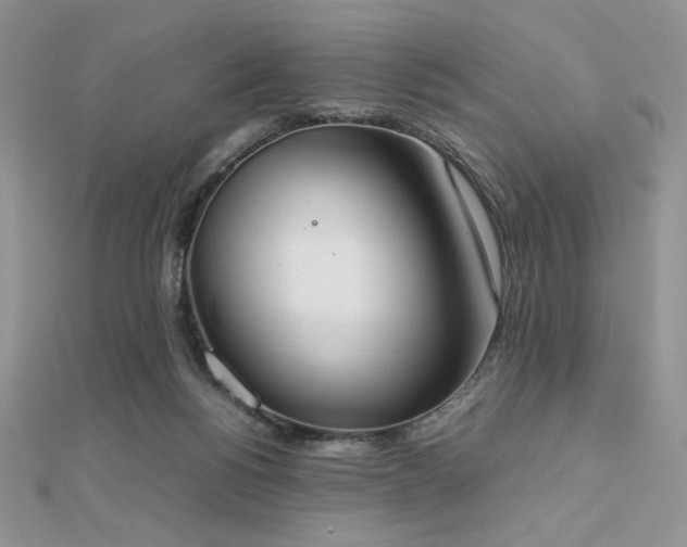 X0000112530168200908171429
