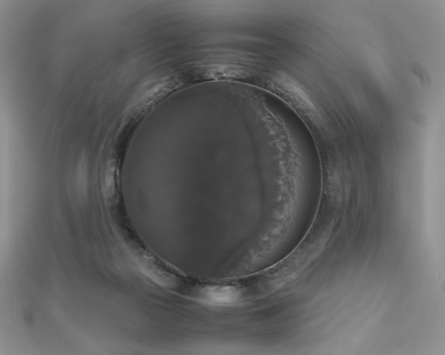 X0000112530169200908171429