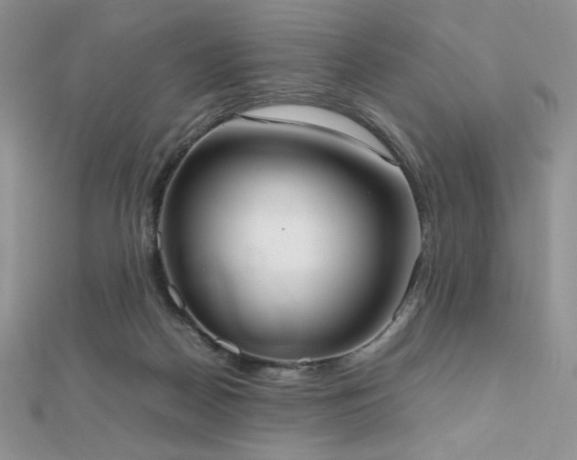 X0000112530170200908171429