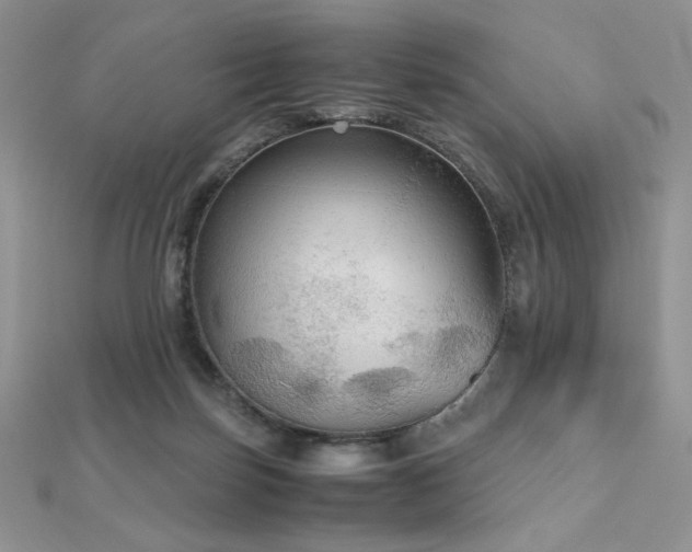 X0000112530171200908171429