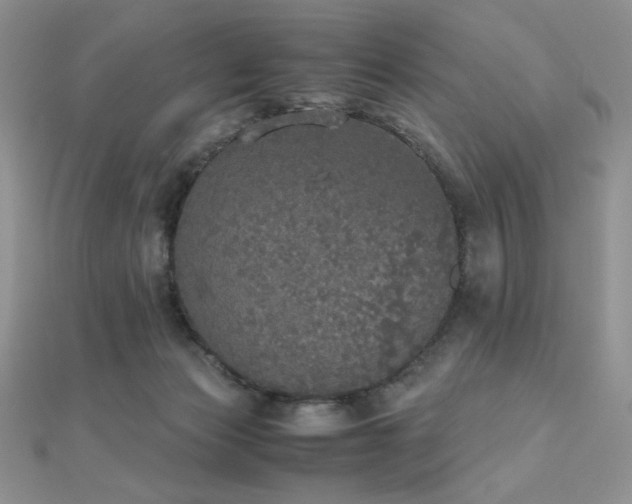 X0000112530173200908171429