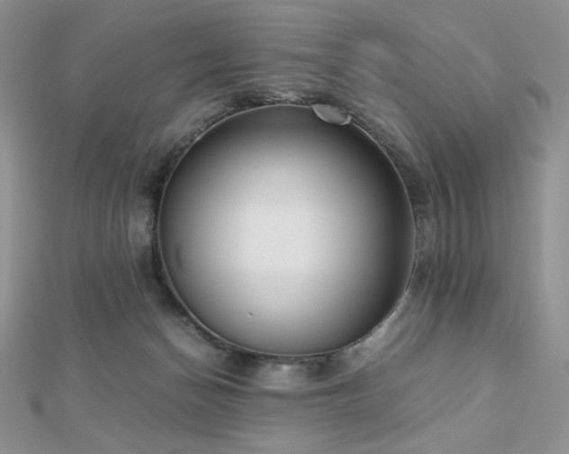 X0000112530174200908171429