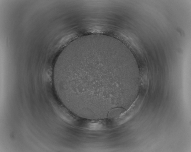 X0000112530175200908171429