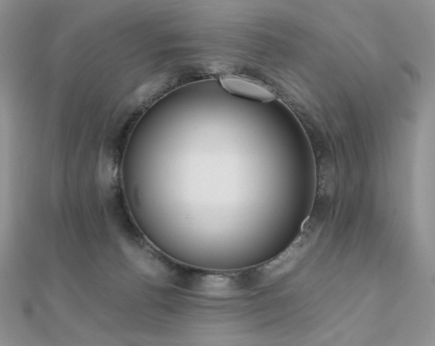 X0000112530176200908171429