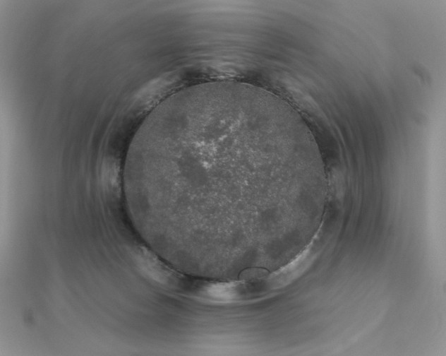 X0000112530178200908171429