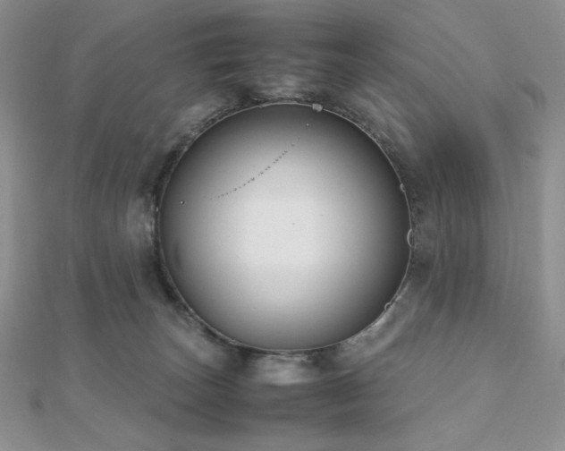 X0000112530179200908171429