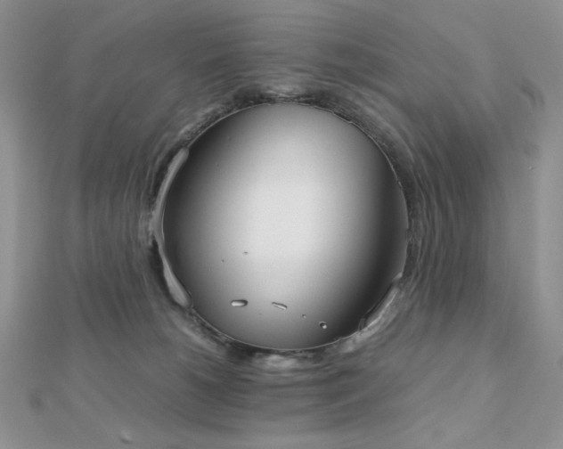 X0000112530180200908171429