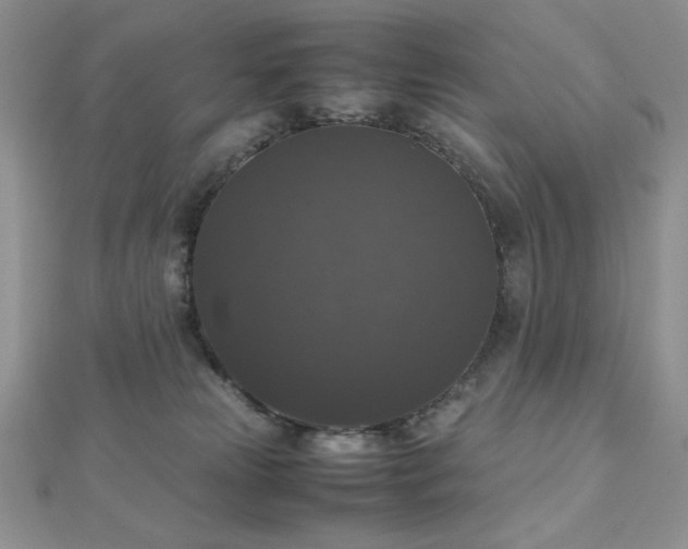 X0000112530181200908171429