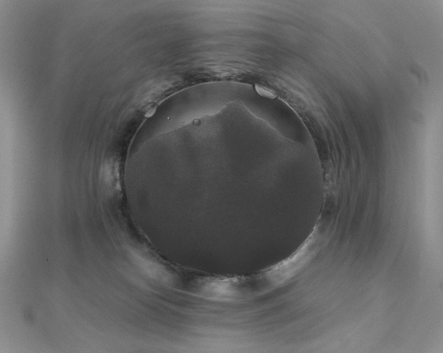 X0000112530182200908171429