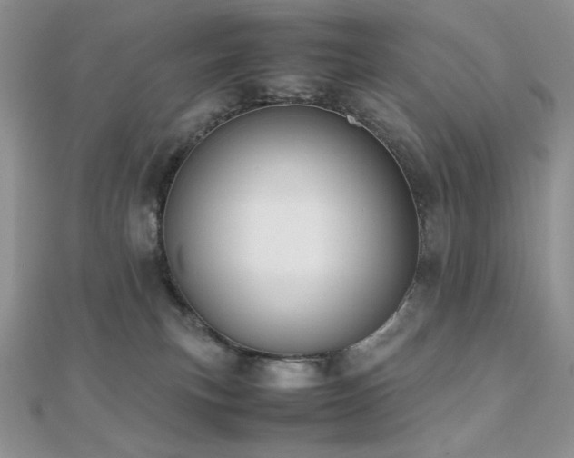 X0000112530183200908171429