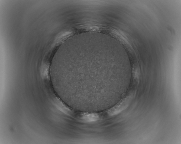 X0000112530185200908171429