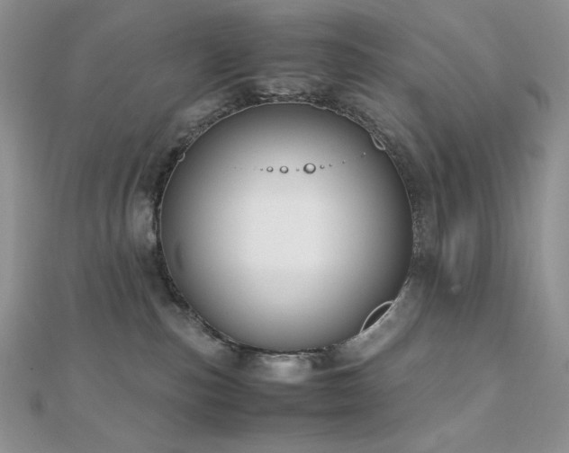 X0000112530187200908171429