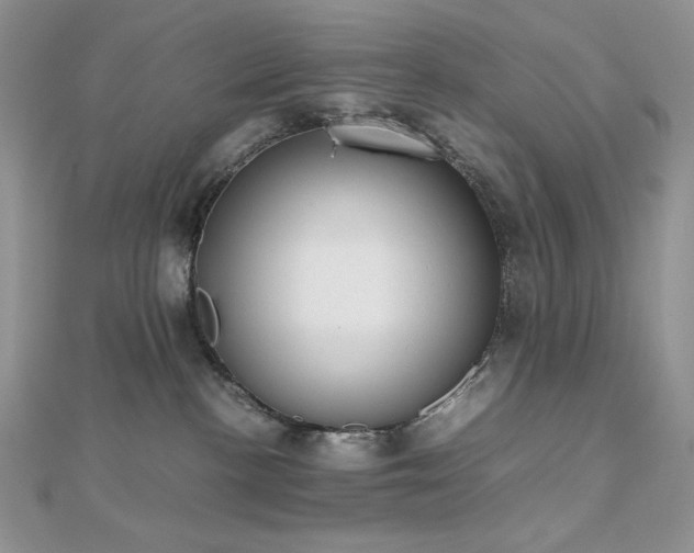 X0000112530188200908171429