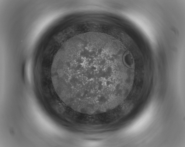 X0000112530189200908171429