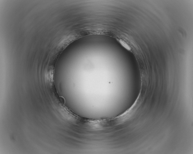 X0000112530190200908171429