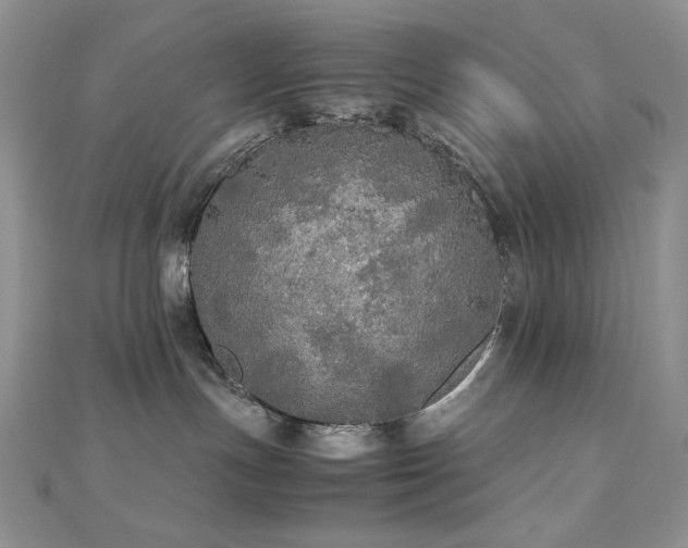 X0000112530191200908171429