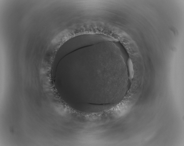 X0000112530192200908171429