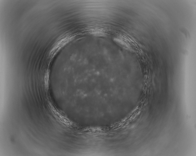 X0000112530194200908171428