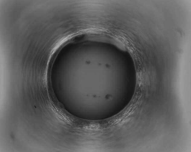 X0000112530196200908171428