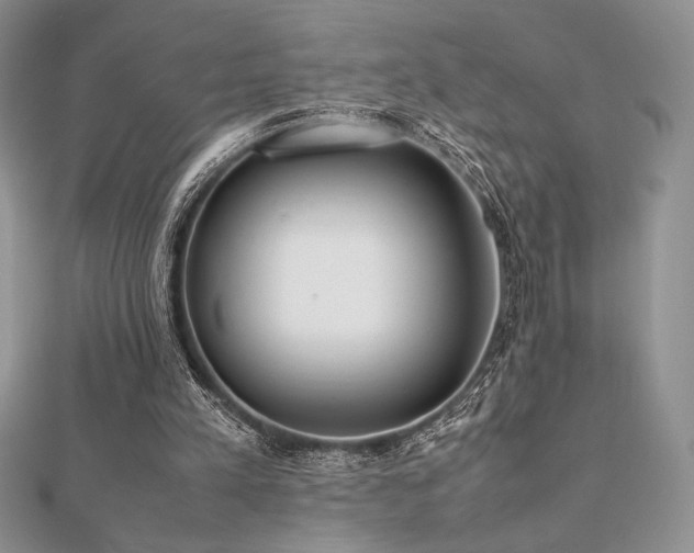 X0000112530197200908171428