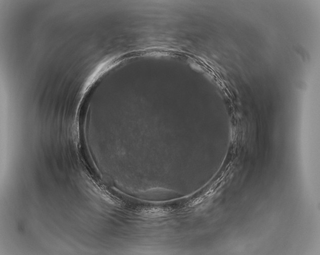 X0000112530198200908171428