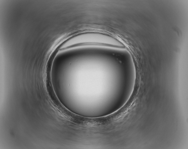 X0000112530199200908171428