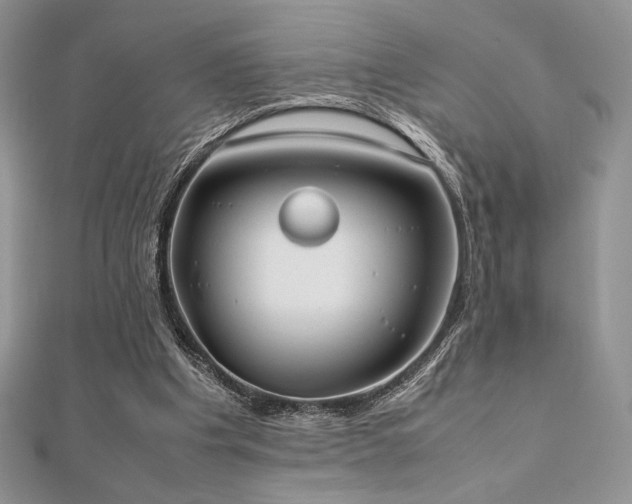 X0000112530201200908171428