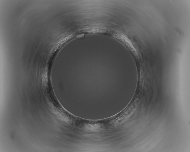 X0000112530202200908171428
