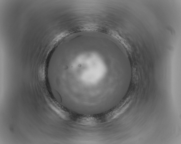 X0000112530203200908171428