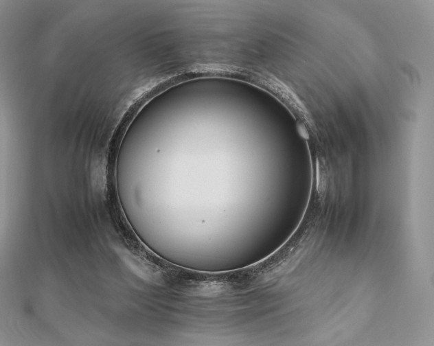 X0000112530204200908171428
