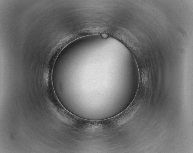 X0000112530206200908171428