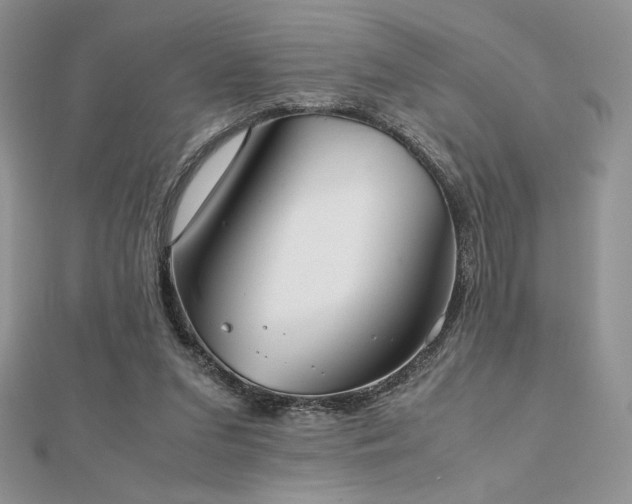X0000112530207200908171428