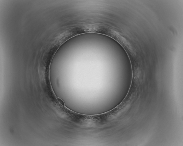 X0000112530209200908171428