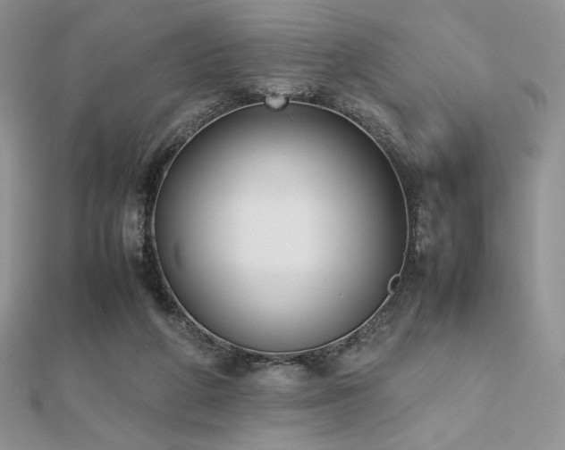 X0000112530210200908171428