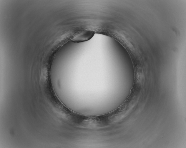 X0000112530211200908171428