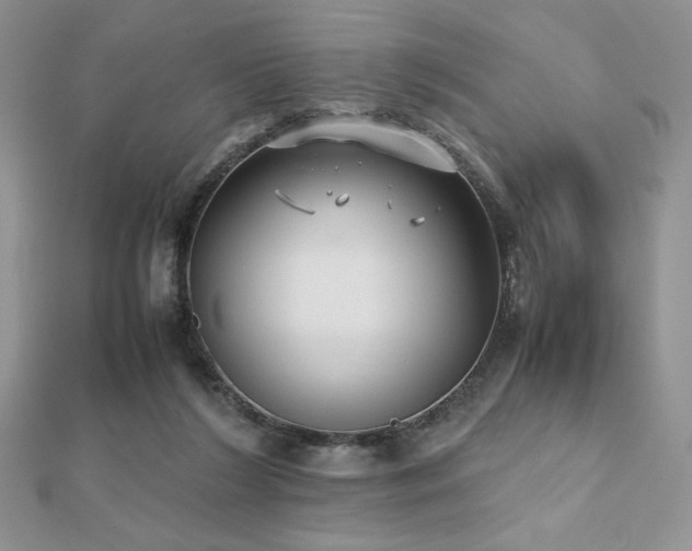 X0000112530212200908171428