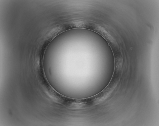 X0000112530213200908171428