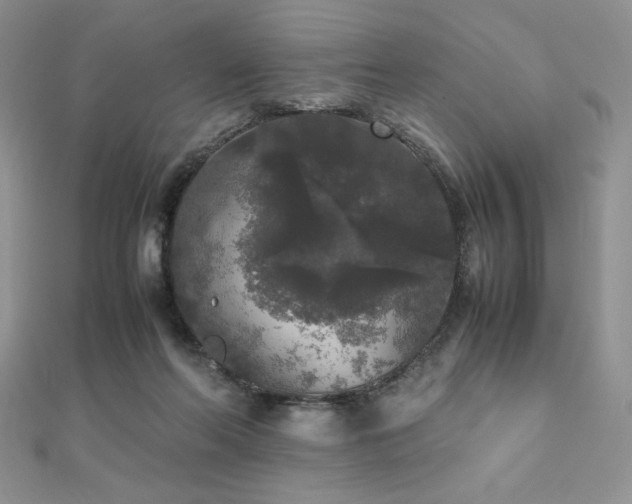X0000112530214200908171428