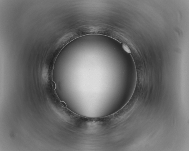 X0000112530216200908171428
