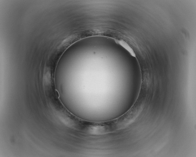 X0000112530220200908171428
