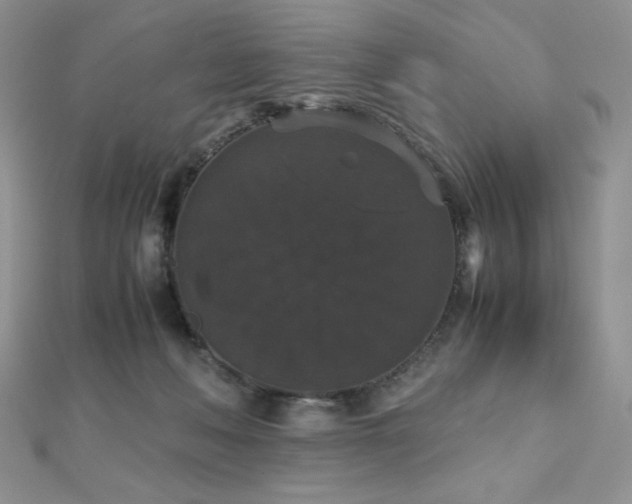 X0000112530222200908171428