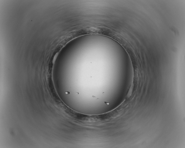 X0000112530223200908171428